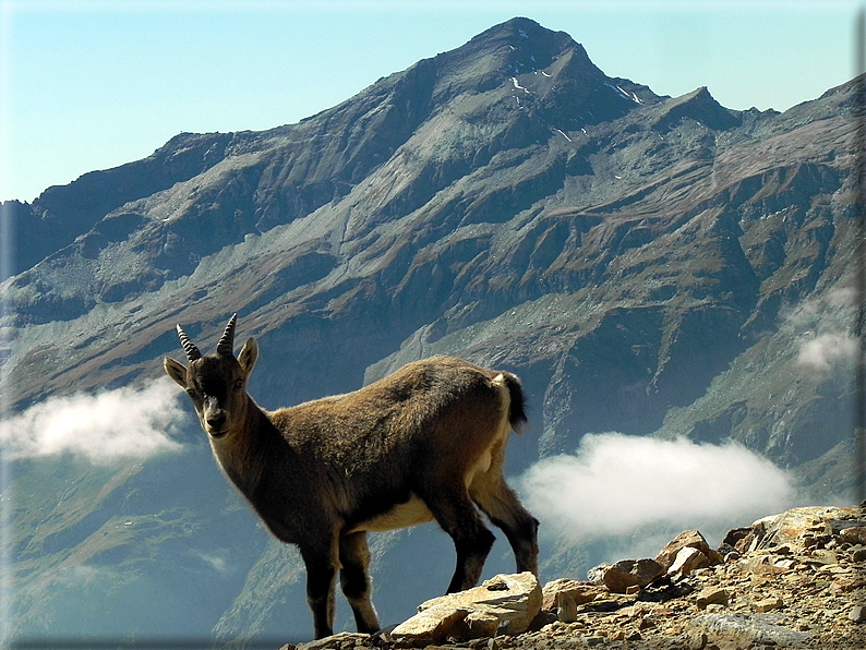 foto Passo dei Salati e Col d'Olen